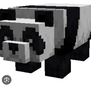 Profile image of Panda
