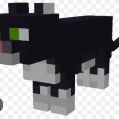 Profile image of Cat