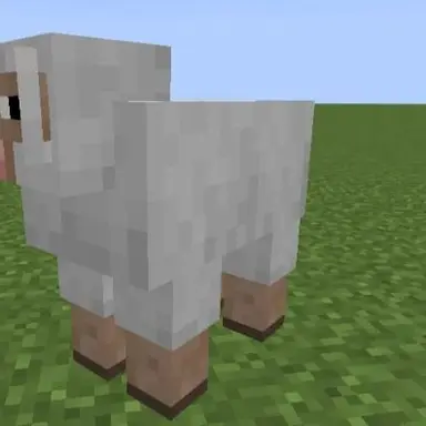 Profile image of Sheep
