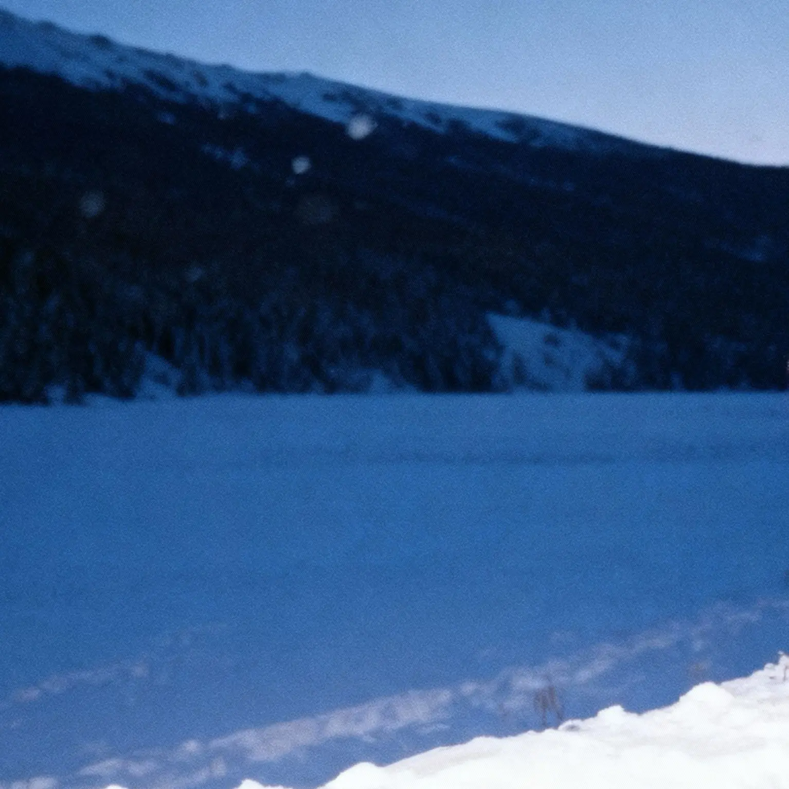 FloralMolto4284의 왜그럴까?