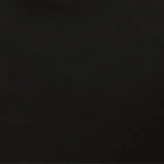 2zxo.l의 금성제를 울렸다..