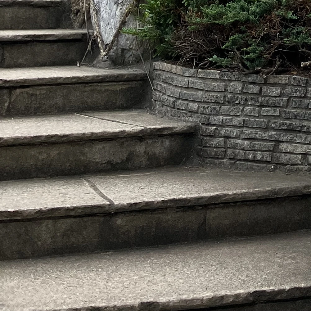 仲間