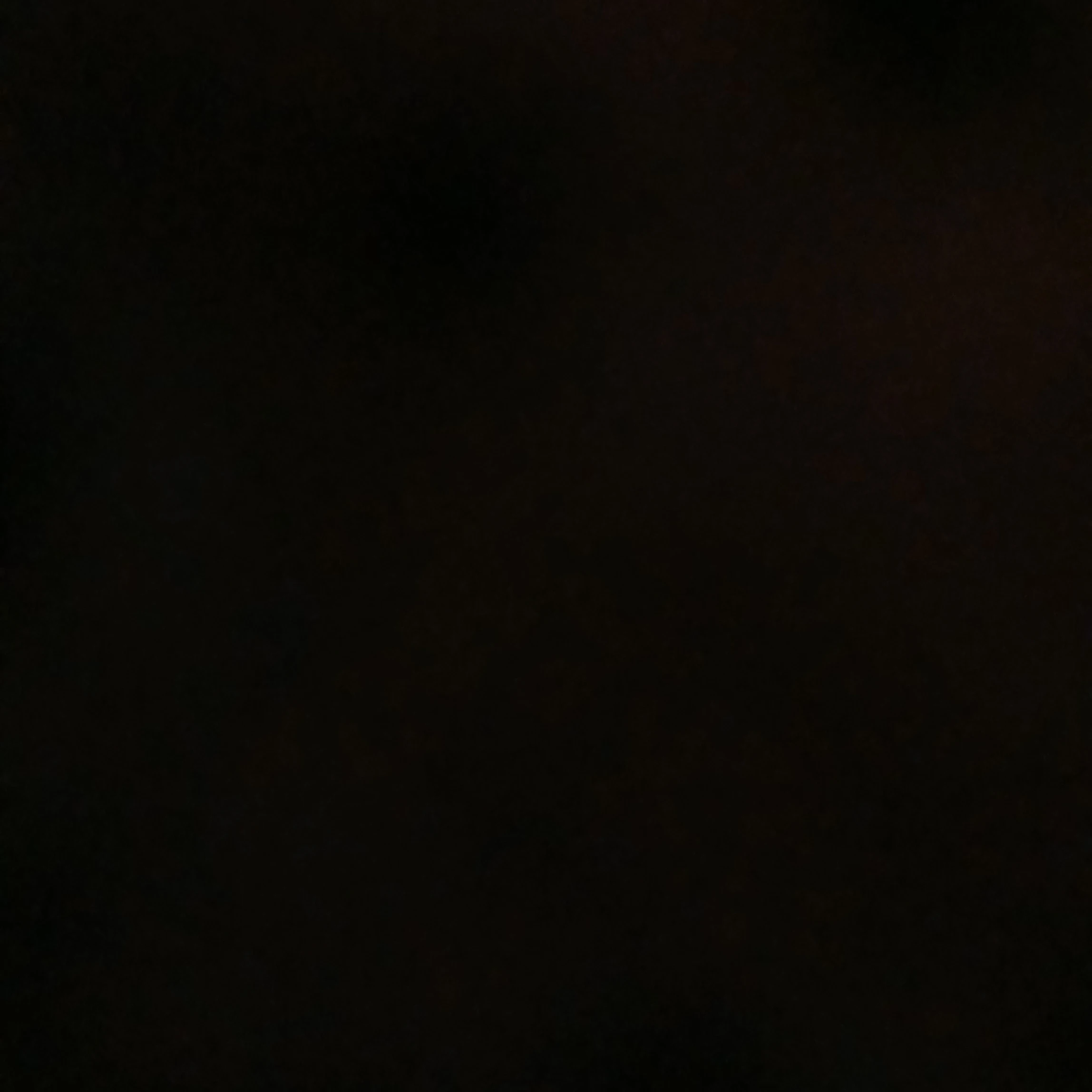 서연유