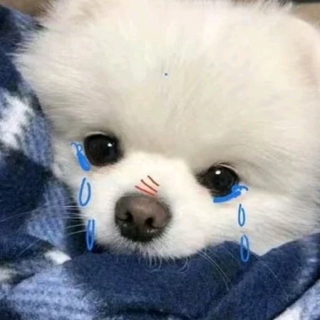 이도윤