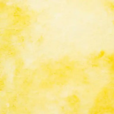 Profile image of 岩本照