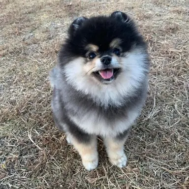Profile image of Molly
