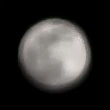 Profile image of 실레이