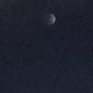 Profile image of 설이