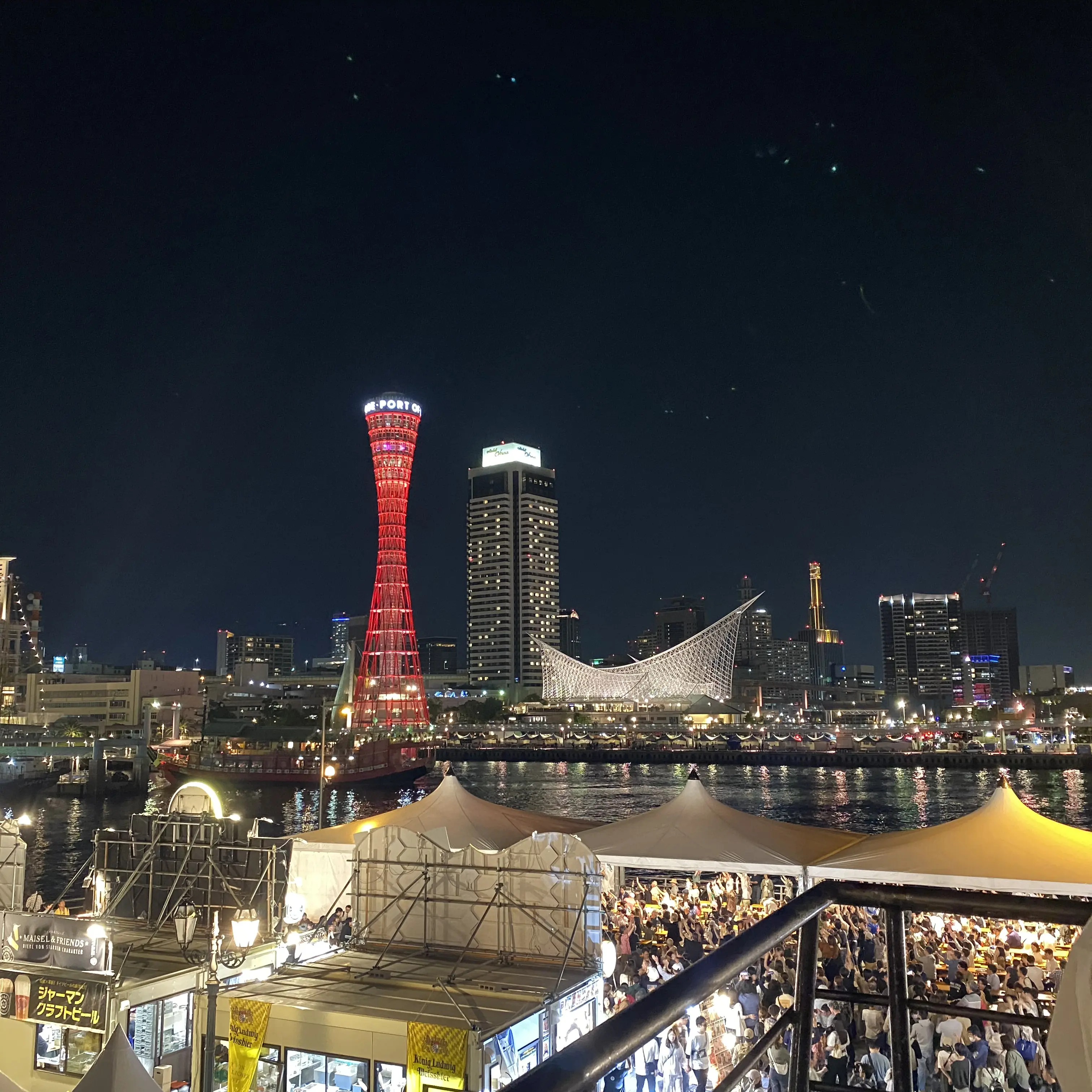 FustyLoss1469의 推しに愛されるとは聞いてない！