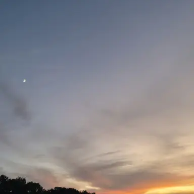 Profile image of 이랑