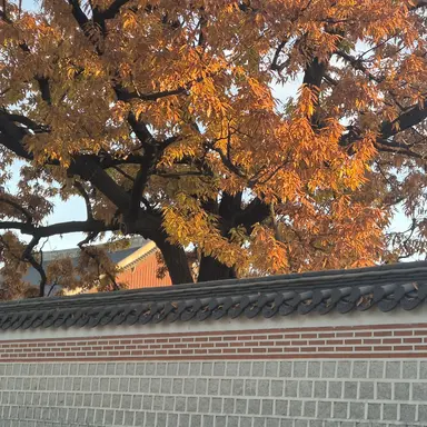 Profile image of 류홍주