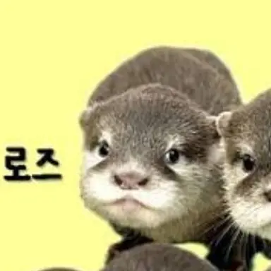 Profile image of 로즈