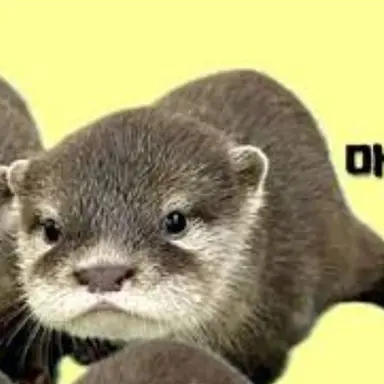 Profile image of 마일로