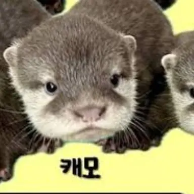 Profile image of 캐모