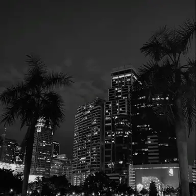 Profile image of 目黒蓮