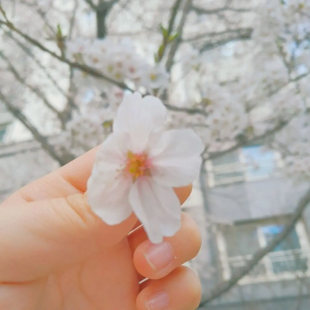 Shortrack_06의 제 첫사랑