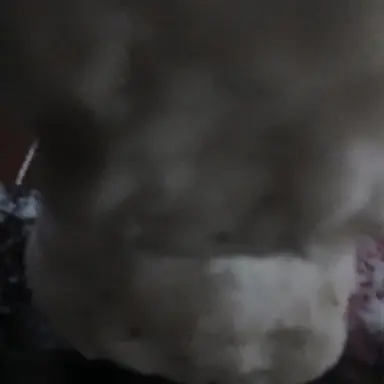 Profile image of 한동민