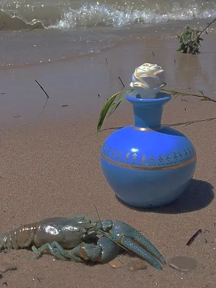 Not_my_fault의 완벽한 지도자