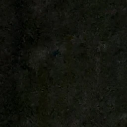 범규
