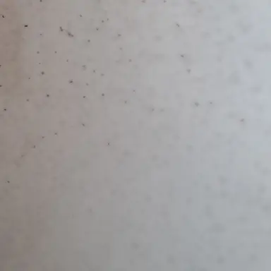 Profile image of 동영배