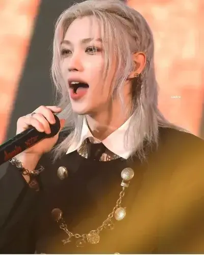 CuteSeal9362의 Stray kids