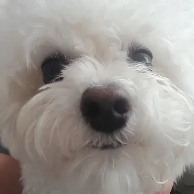 Profile image of 텬