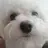 텬