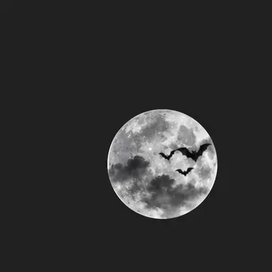 Profile image of 夜玻