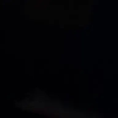 Profile image of 유강민