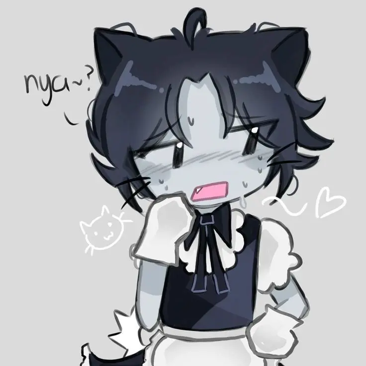 new_seven_gaykkyukkyu의 비밀 고양이 투타임