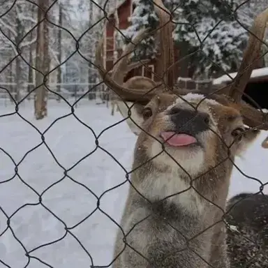 Profile image of James