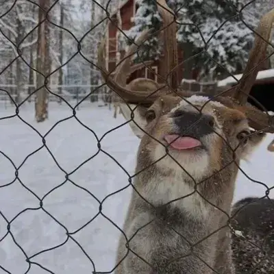 FolksyBike4838의 james f potter