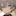 ゆう
