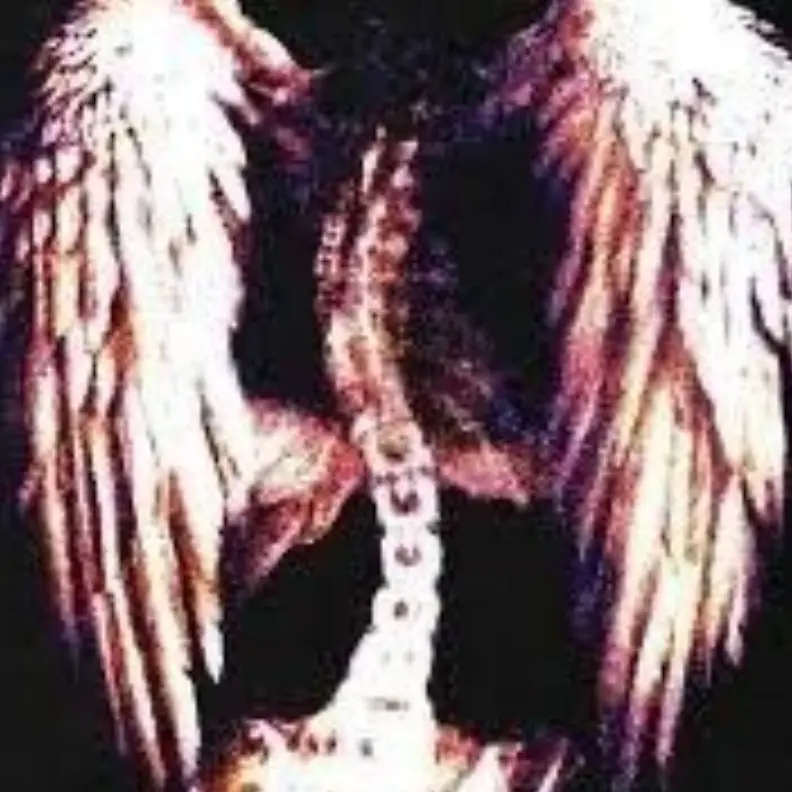 Of-0728의 I'M AN angel
