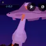 Profile image of 피쉬 펠리컨