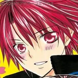 Profile image of 鈴木輝