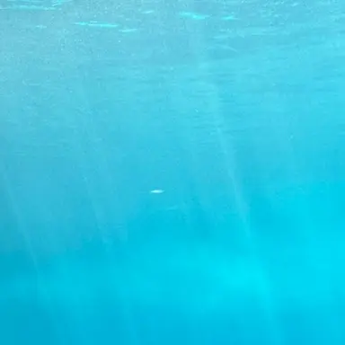 Profile image of 잠뜰