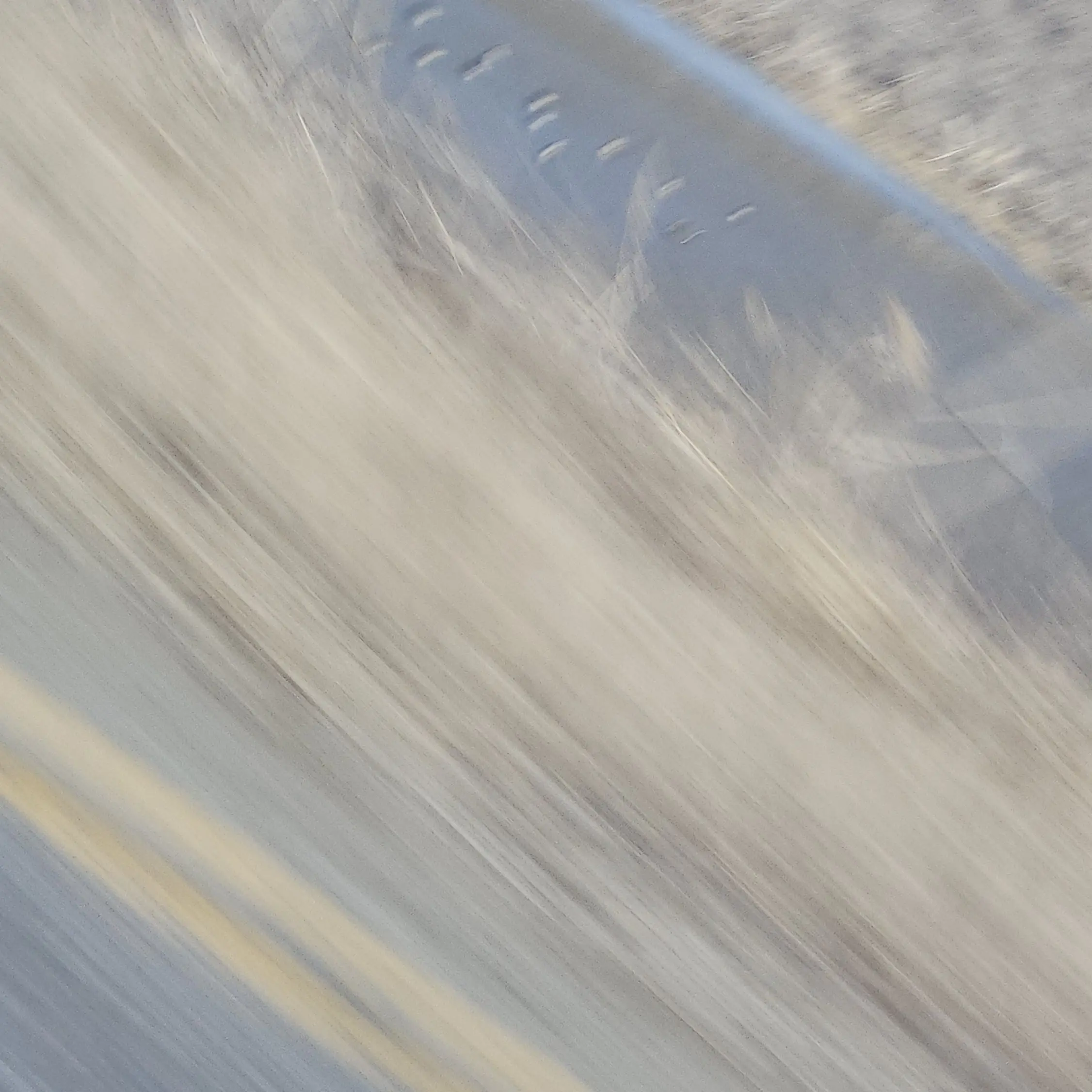 MildLady9001의 가정 폭력