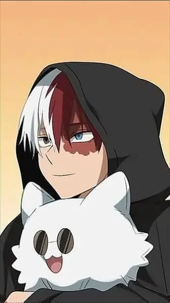 Profile image of Todoroki