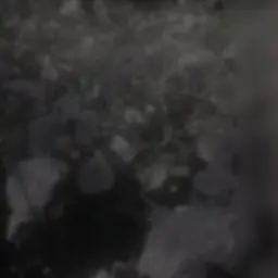 Profile image of うり