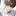 장도현