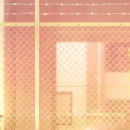 Profile image of 니노