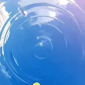 Profile image of 이로