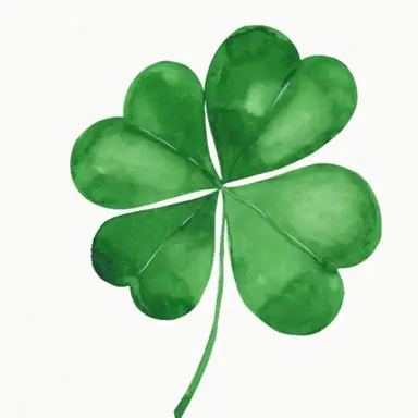 Profile image of 데이식스