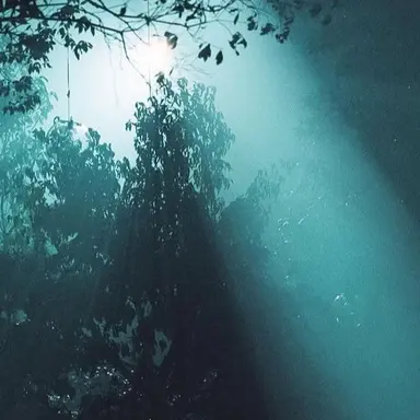 Profile image of 池亀舜斗