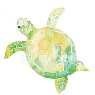 Profile image of 池亀樹音