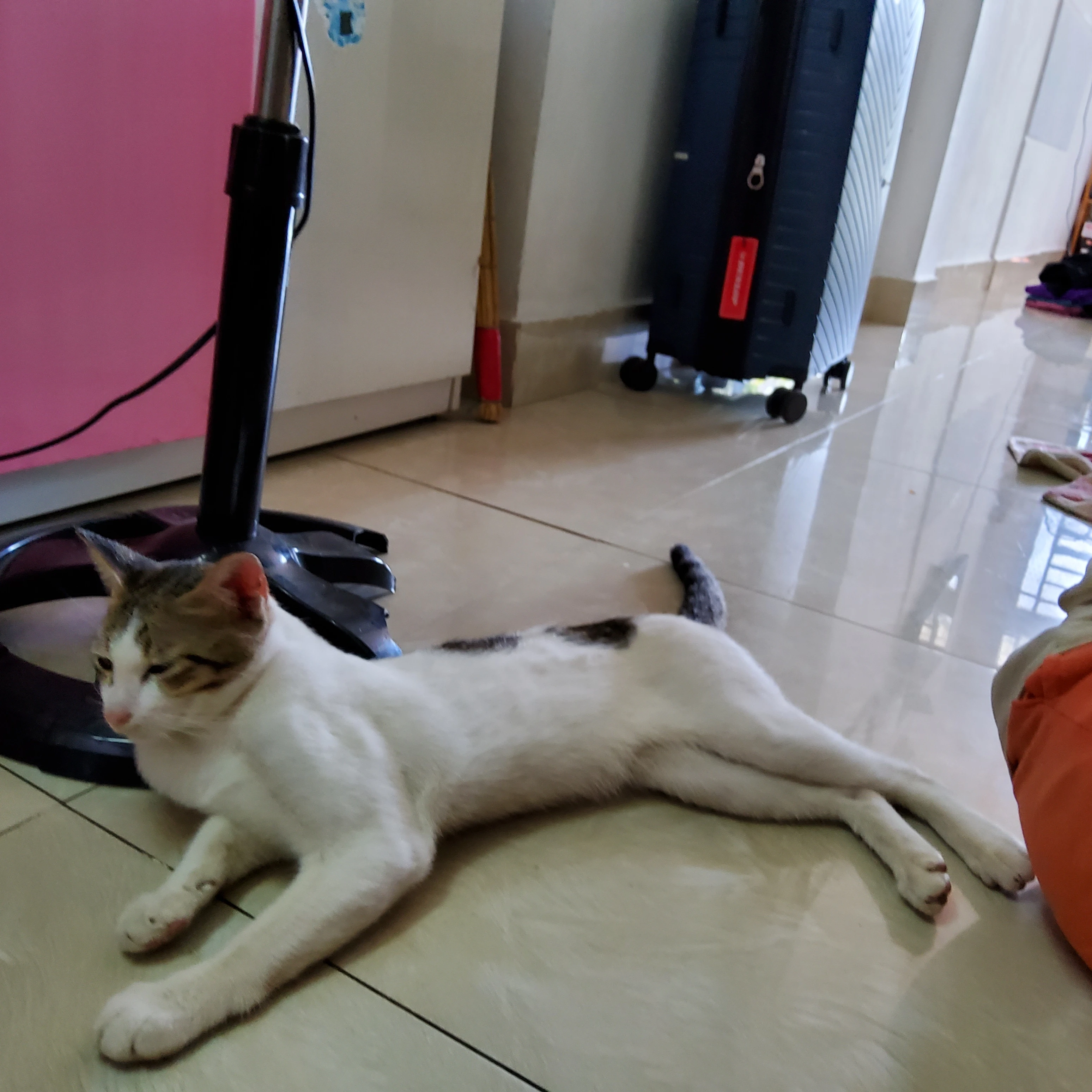 박효신