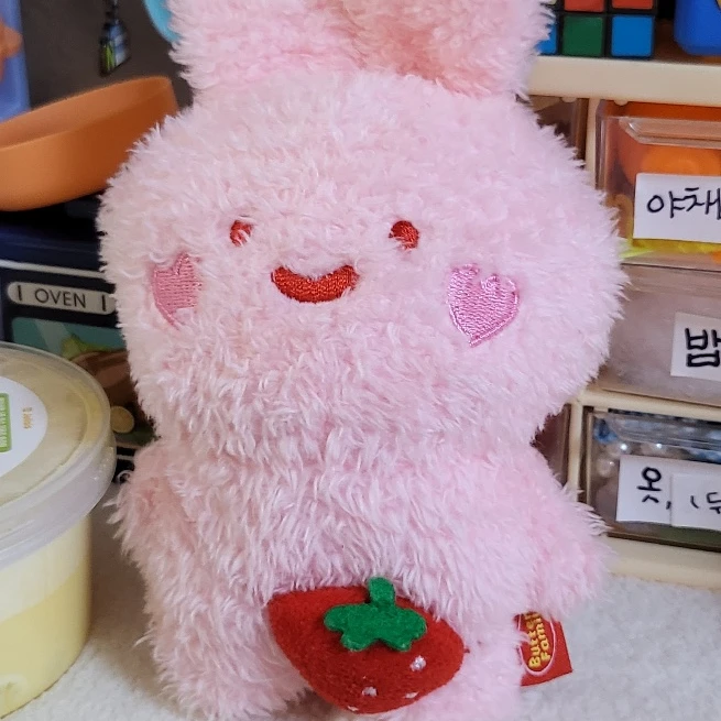 토순