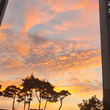 Profile image of 박영환