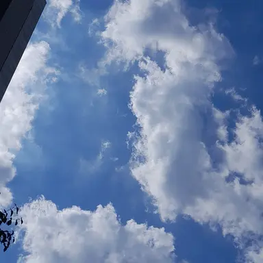 Profile image of 박슬기